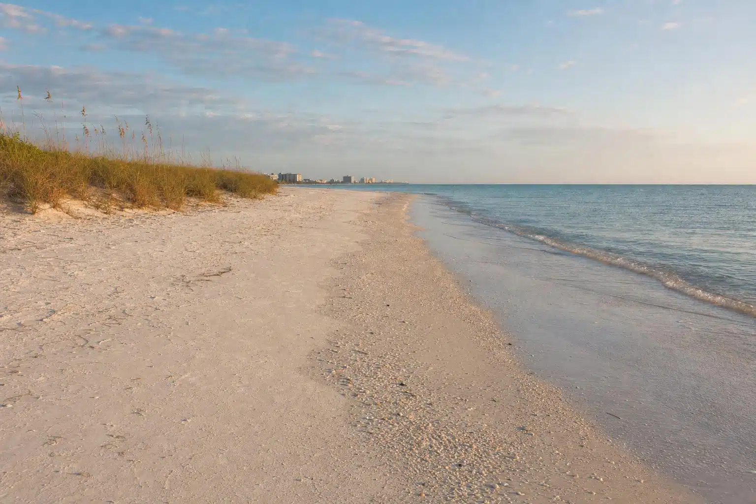 An empty white-sand Gulf beach with shells at the tide line in Southwest Florida (representative scene)