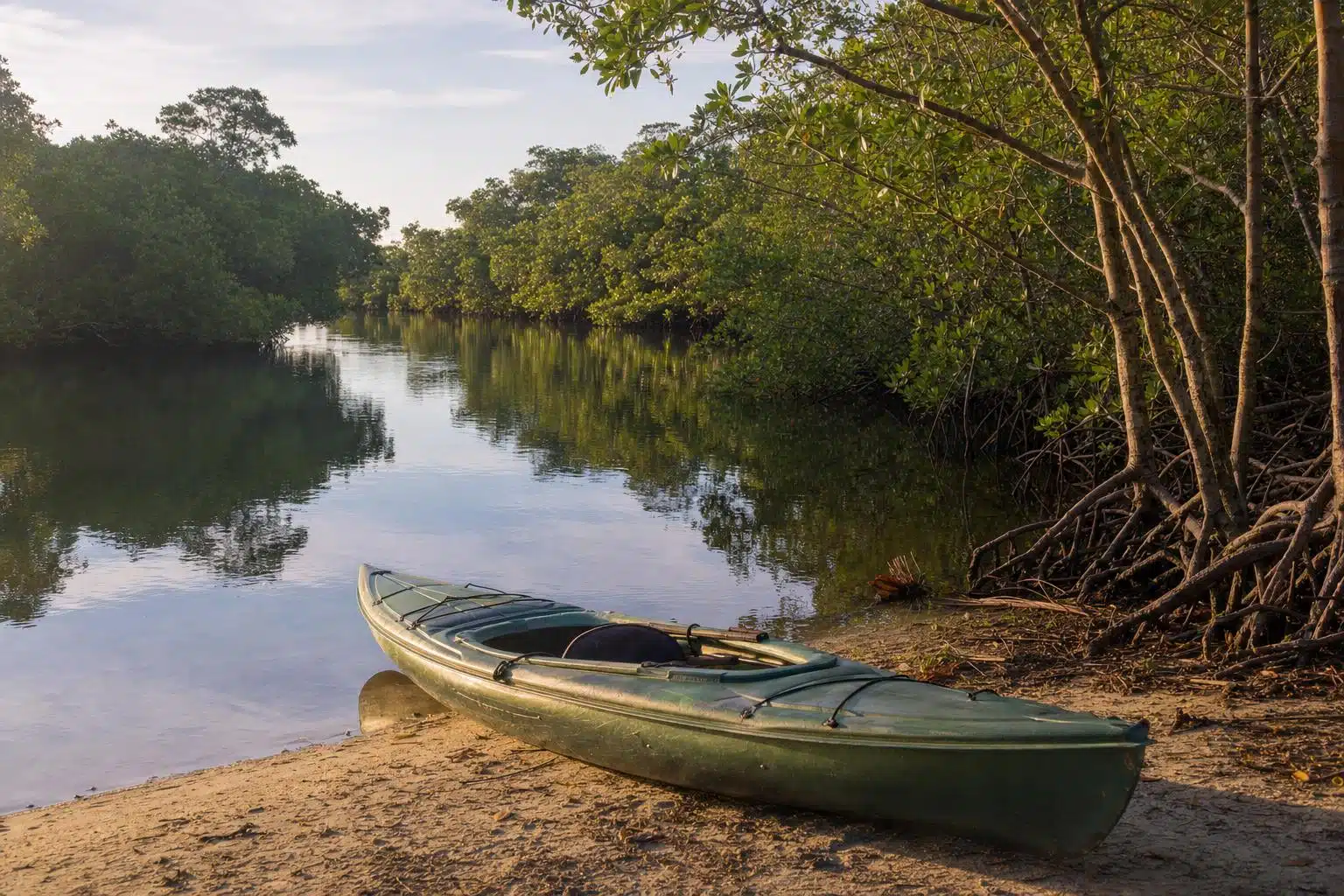 A kayak at a sandy launch on a mangrove tidal creek in Southwest Florida (representative scene)