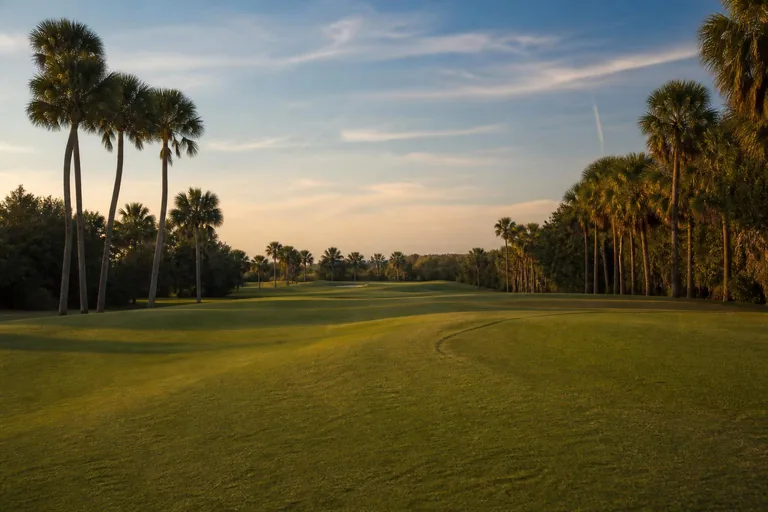 Golf course near Naples (representative image)