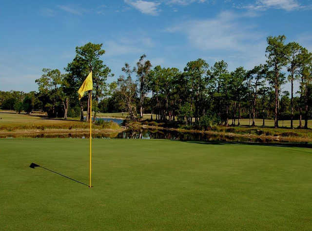 Eastwood Golf Course Green View, Fort Myers, Florida