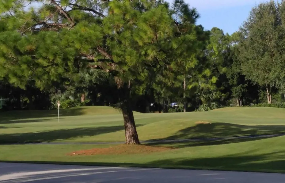 Fairway Pine at Hunters Ridge Country Club, Bonita Springs, Florida