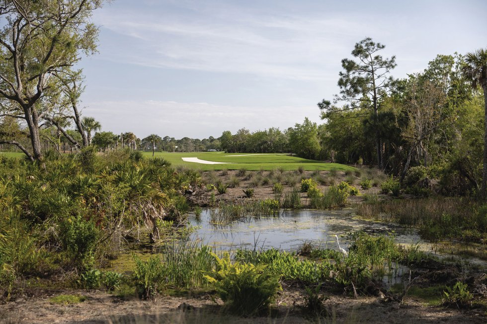 Saltleaf Golf Preserve Pondside View, Bonita Springs, Florida